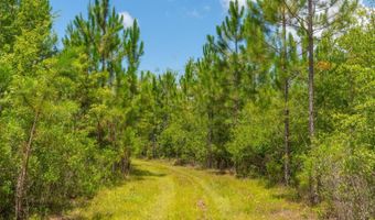 Val Del Road, Adel, GA 31620