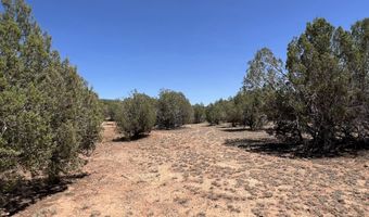 39303 N Bullock Rd, Ash Fork, AZ 86320