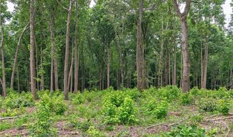 Wilson Lane, Arnoldsville, GA 30619