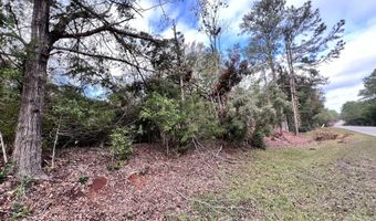 Ridge Road lot C, Appling, GA 30802