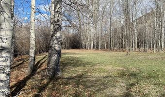 4585 Garden Creek Rd, Challis, ID 83226