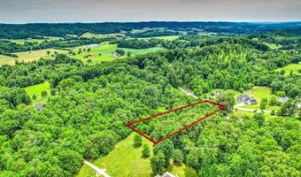 Stone Ridge Drive, Andersonville, TN 37705