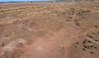 N8491, Concho, AZ 85924