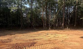 86 Kelly Ct, Blair, SC 29015