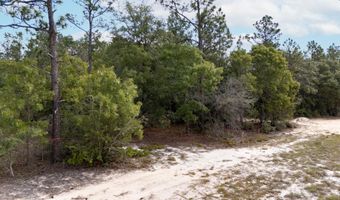 Homestead Road, Baker, FL 32531