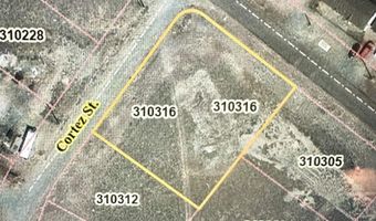 104 Cortez, Austin, NV 89310