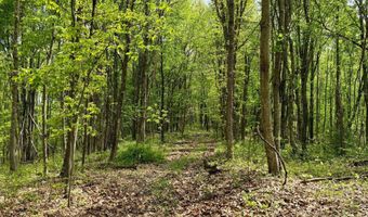 566 A Tunnel Ridge Rd, Argillite, KY 41121