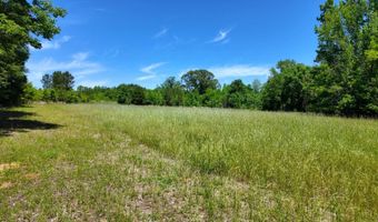 County Road 38, Autaugaville, AL 36003