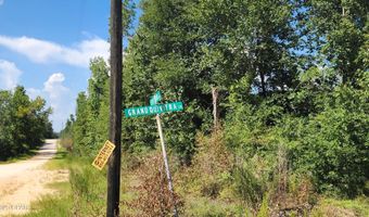 Grand Quiviera Circle lot 11, Alford, FL 32420