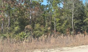 0000 NE 106TH Ct, Archer, FL 32618