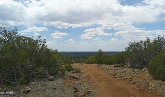 74 Co Rd, Concho, AZ 85924