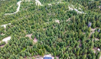 Carol Court lot 14 Block 3, Cascade, ID 83611