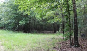 TBD CR 4670, De Kalb, TX 75559