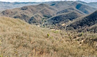 31 Reillys Bluff Rd 2, Barnardsville, NC 28709