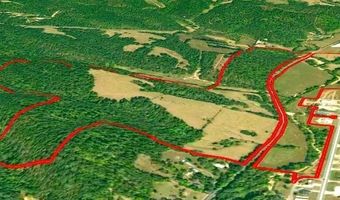 62 Acres N Business 71 Hwy, Anderson, MO 64831