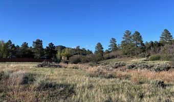 Lot 15 Primrose Lane, Bayfield, CO 81122