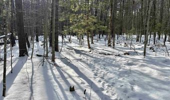 Lot 80-1 Currier Road, Candia, NH 03034