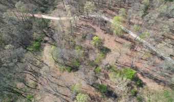 Tract 4 0000 Private Road 1184, Aurora, MO 65605