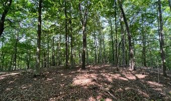 10 97 AC H R Huffer Ln, Allons, TN 38541