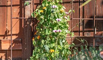 1322 Loma De Paz, Escondido, CA 92027