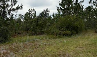 4539 NW Miller/White LN Rd, Altha, FL 32421
