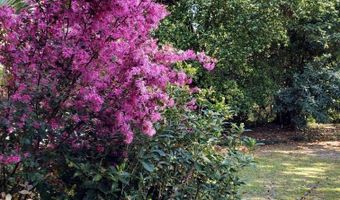 418 Broughton St, Bainbridge, GA 39817