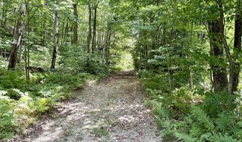 10 S Arm Rd, Andover, ME 04226