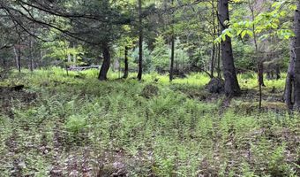 Map17-Lot 31 & 33 River Road, Bath, NH 03740