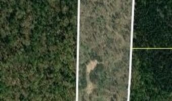 178 Lester Plunk Rd, Bethel Springs, TN 38315
