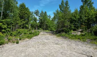 Lot 39 Southwest Brook Lane, Beddington, ME 04622