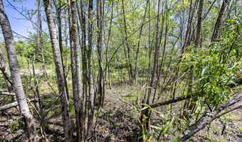 2 Shain Dr, Bardstown, KY 40004