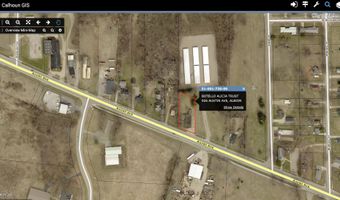 926 Austin Ave, Albion, MI 49224