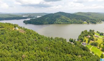 879 LAUNCH Dr Lot 14, Ashville, AL 35953