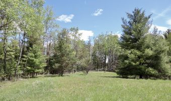 5826 S Morrison Rd, Alger, MI 48610