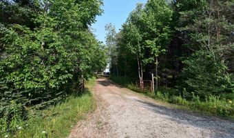 9537 LAKEVIEW Rd, Alanson, MI 49706