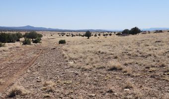 79 E Falcon Flight Way, Ash Fork, AZ 86320