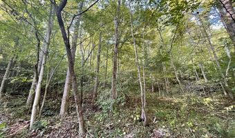 462 Lake View Dr, Barbourville, KY 40906