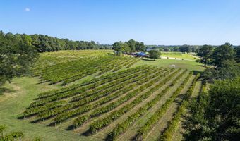 207 Wolf Creek Dr, Americus, GA 31719