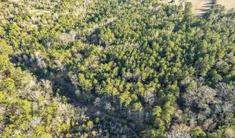 2870 County Road 2604, Alto, TX 75925