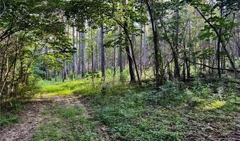Parcel 3 WARD LINE Road lot Par 3, Bogalusa, LA 70427