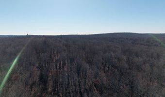 Tuska Drive, Ash Flat, AR 72513