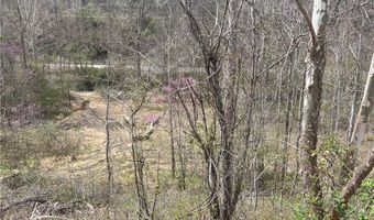 Little Coal River Road, Alum Creek, WV 25501