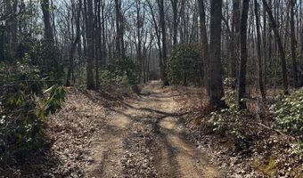 Brookstone Road lot 3, Bastian, VA 24314