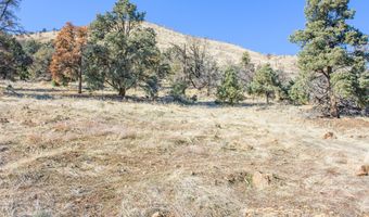 3221 Reese Ln, Gardnerville, NV 89410