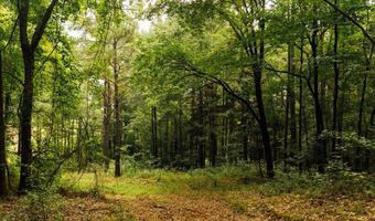 1037 Cr 300, Big Creek, MS 38914