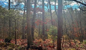 KING Street, Basye, VA 22810