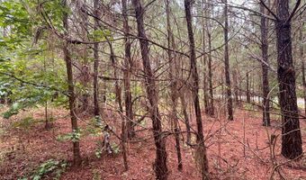0 Pebble Cove Rd, Abbeville, AL 36310