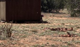 00 Off Of Rainy Rd, Ash Fork, AZ 86320