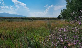 536 SNAKE RIVER Dr, Alpine, WY 83128