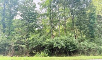 2 Acres Al Hwy 69, Arab, AL 35016
